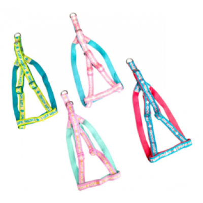 Pechera con correa para mascota