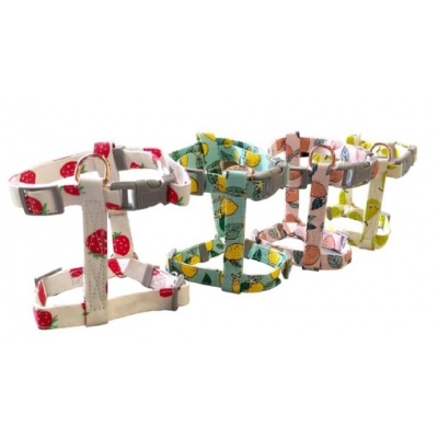 Pechera con correa para mascota