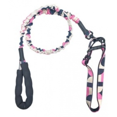 Correa Para Mascota